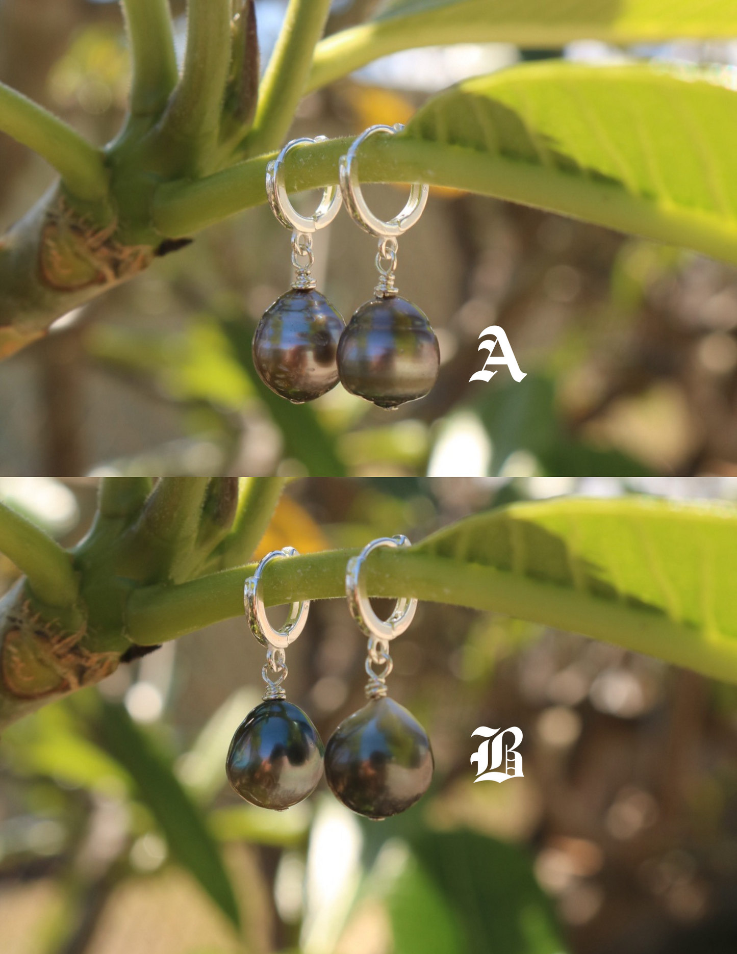 tahitian pearl huggies