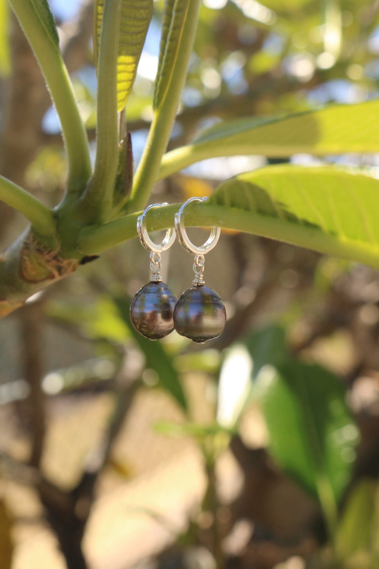 tahitian pearl huggies