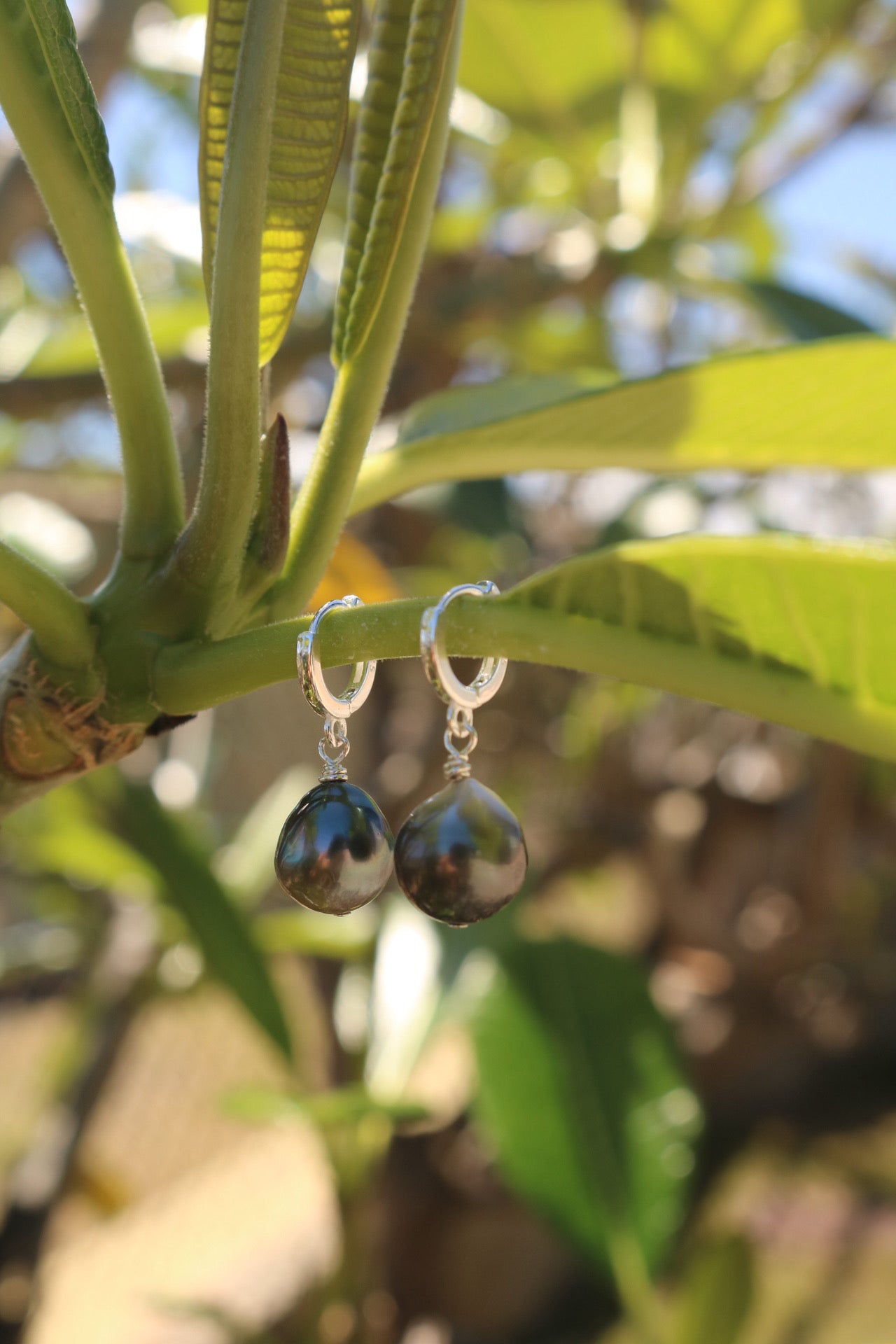 tahitian pearl huggies