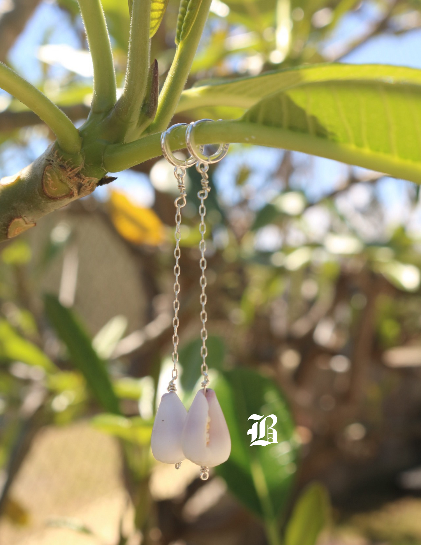 cone shell drop earrings