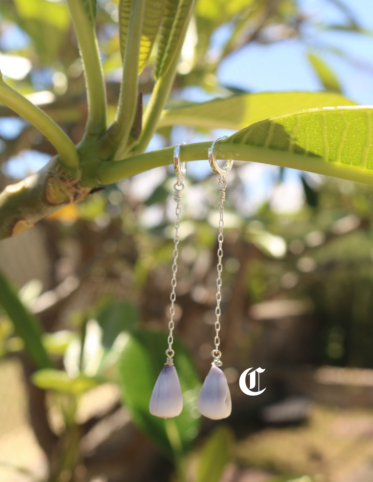 cone shell drop earrings