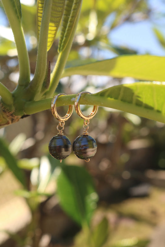 tahitian pearl huggies